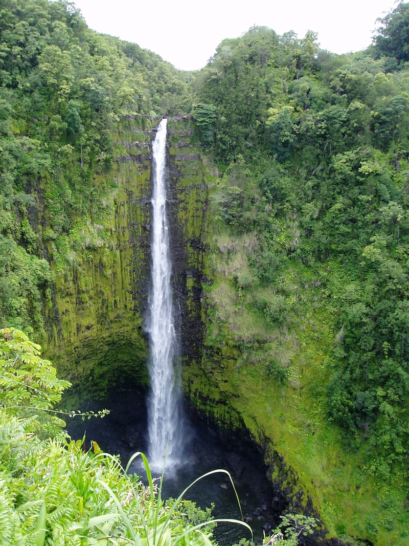 ʻAkaka Falls surrounded by lush rainforest